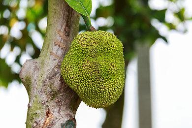 反乌托邦冒险游《黄金魁犬》 推出免费试玩序